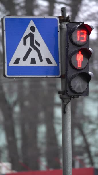 Vídeo vertical de um semáforo de pedestres na estrada — Vídeo de Stock