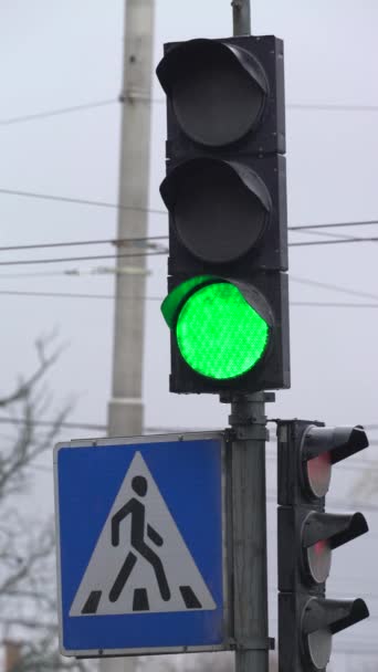 Verticale video van een verkeerslicht op de weg — Stockvideo