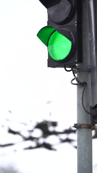 도로 위의 교통 신호등에 대한 수직 영상 — 비디오