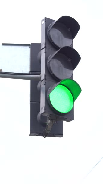 Vertical video of a traffic light on the road — Stock Video