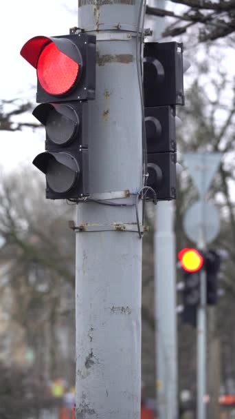Вертикальное видео светофора на дороге — стоковое видео