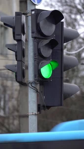 Vertikal video av ett trafikljus på vägen — Stockvideo