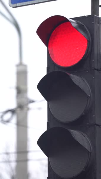 Verticale video van een verkeerslicht op de weg — Stockvideo