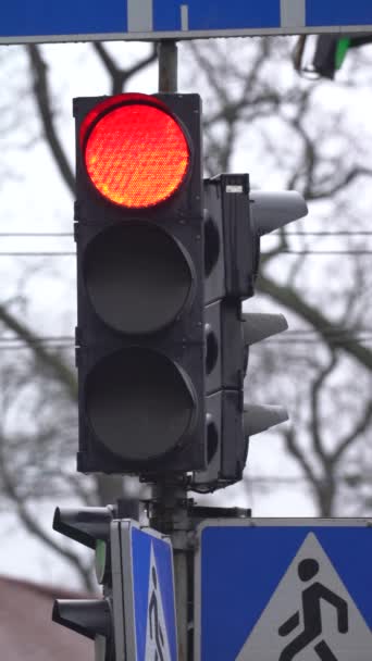 Verticale video van een verkeerslicht op de weg — Stockvideo