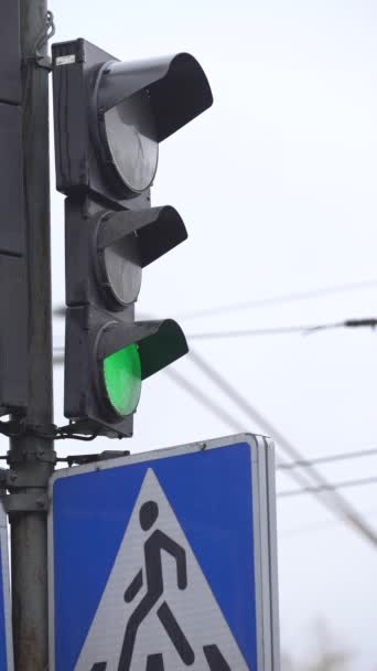 Vertikales Video einer Ampel auf der Straße — Stockvideo