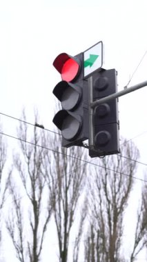 Yoldaki bir trafik ışığının dikey videosu