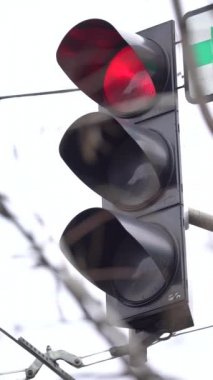 Yoldaki bir trafik ışığının dikey videosu