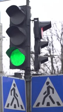 Yoldaki bir trafik ışığının dikey videosu