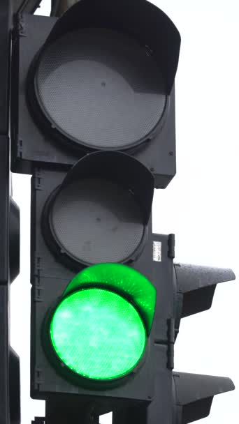 Vertical video of a traffic light on the road — Stock Video