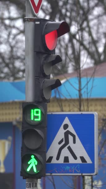 Vertikales Video einer Ampel auf der Straße — Stockvideo