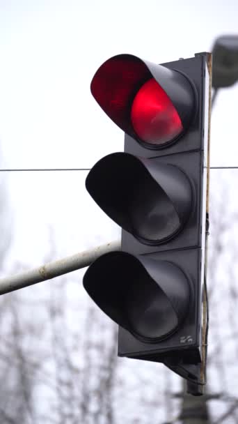 Vertikales Video einer Ampel auf der Straße — Stockvideo