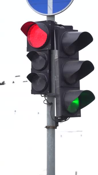 Vertical video of a traffic light on the road — Stock Video