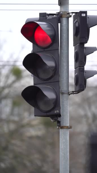 道路上交通信号灯的垂直录像 — 图库视频影像