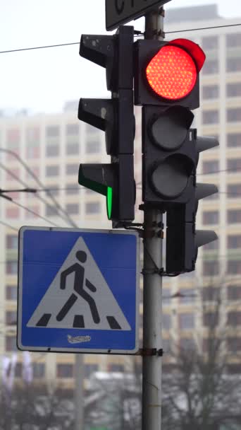 Verticale video van een verkeerslicht op de weg — Stockvideo