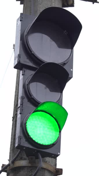 Vertical video of a traffic light on the road — Stock Video