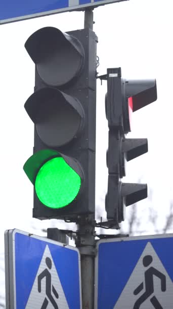 Video vertical al unui semafor pe drum — Videoclip de stoc