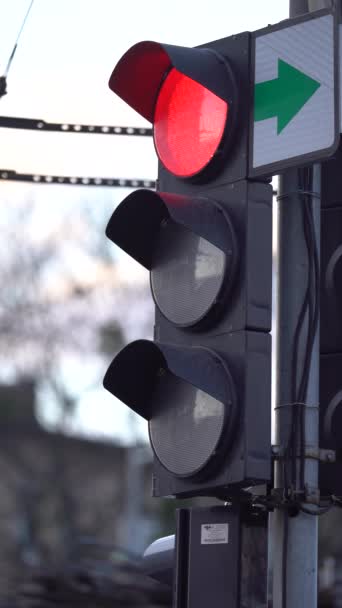 Vertikal video av ett trafikljus på vägen — Stockvideo