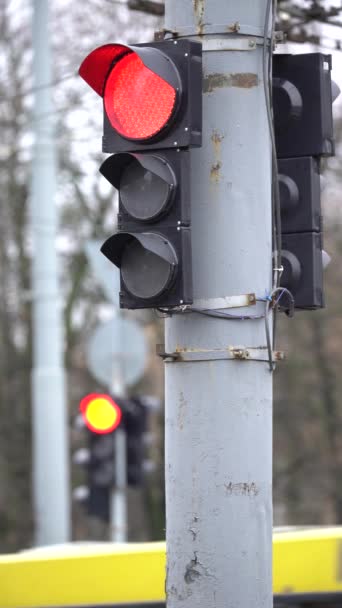 Video vertical al unui semafor pe drum — Videoclip de stoc