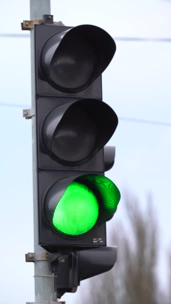 Вертикальное видео светофора на дороге — стоковое видео