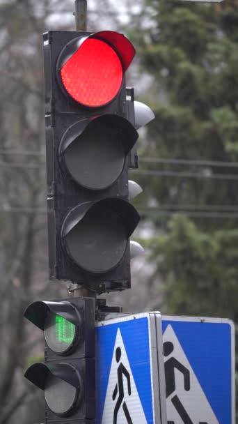 Vertikales Video einer Ampel auf der Straße — Stockvideo