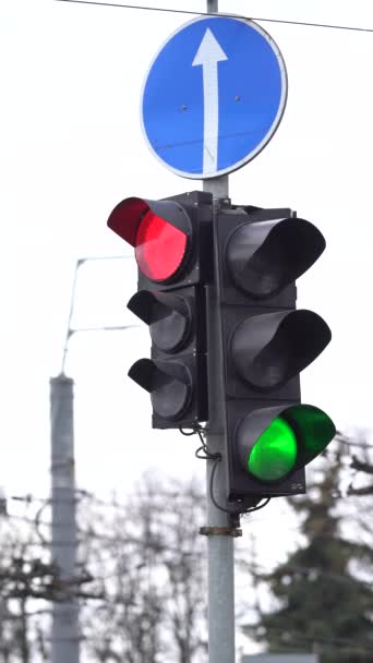 Vertical video of a traffic light on the road — Stock Video