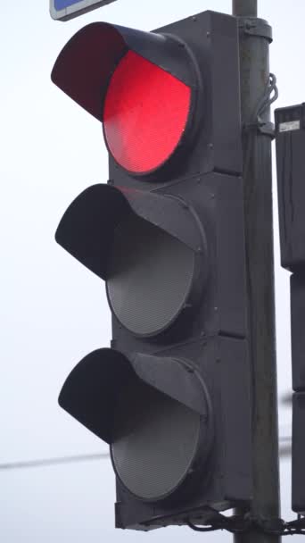 Vertical video of a traffic light on the road — Stock Video