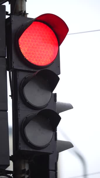 Verticale video van een verkeerslicht op de weg — Stockvideo