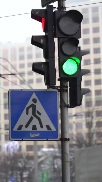 Vertikales Video einer Ampel auf der Straße — Stockvideo