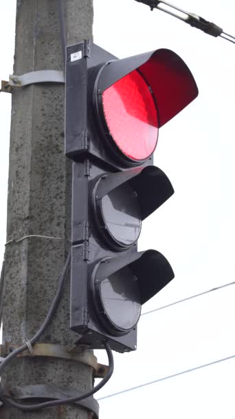 Vertikales Video einer Ampel auf der Straße — Stockvideo