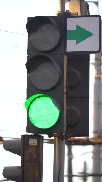 Vertikales Video einer Ampel auf der Straße — Stockvideo