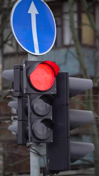 Vertikales Video einer Ampel auf der Straße — Stockvideo