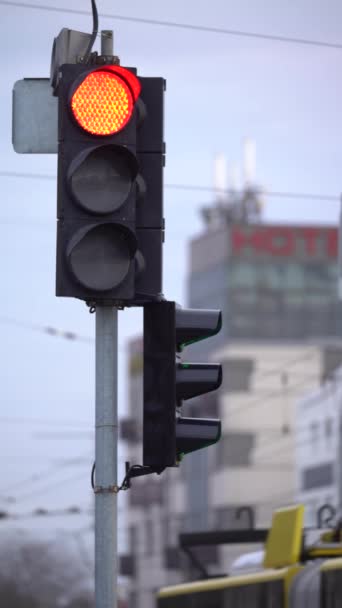 Yoldaki bir trafik ışığının dikey videosu — Stok video