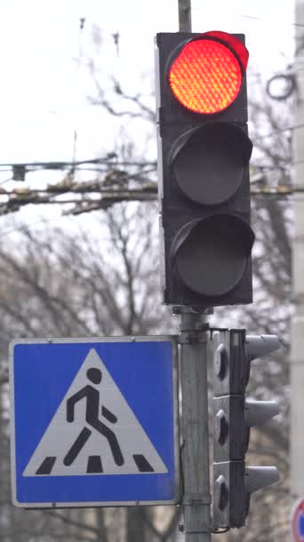 Verticale video van een verkeerslicht op de weg — Stockvideo