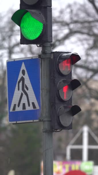 Verticale video van een verkeerslicht op de weg — Stockvideo