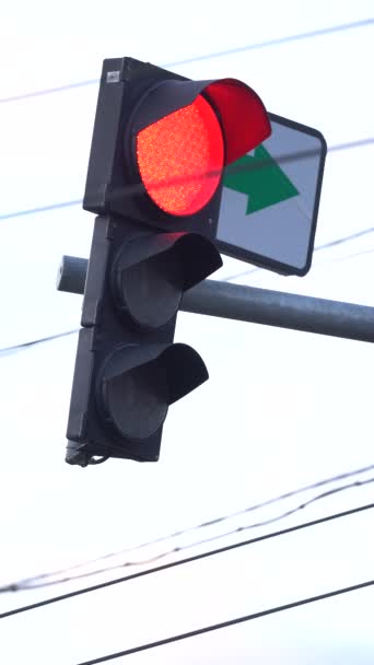 Vertical video of a traffic light on the road — Stock Video