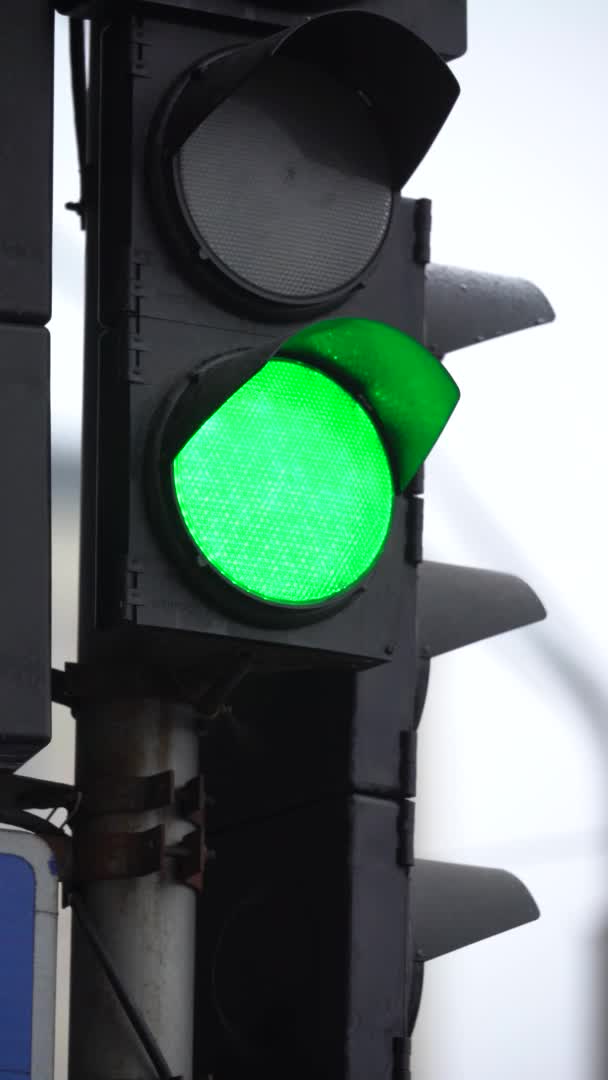 Vertical video of a traffic light on the road — Stock Video