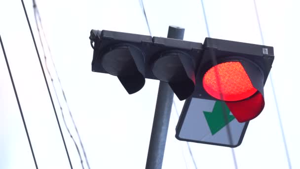 Vertikales Video einer Ampel auf der Straße — Stockvideo