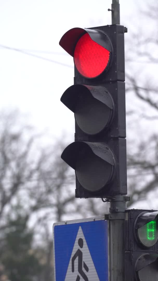 Vertikal video av ett trafikljus på vägen — Stockvideo