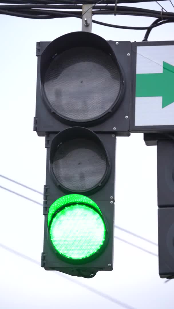 Vertikales Video einer Ampel auf der Straße — Stockvideo