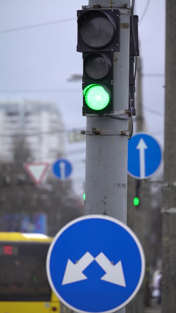 Verticale video van een verkeerslicht op de weg — Stockvideo