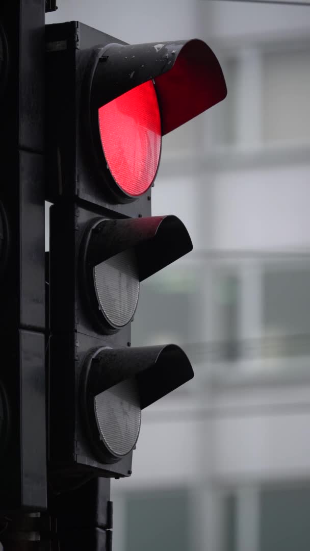 Vertikales Video einer Ampel auf der Straße — Stockvideo