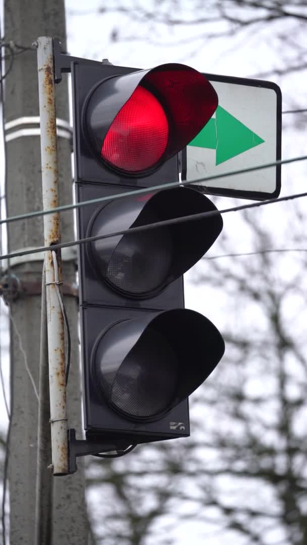 Vertikal video av ett trafikljus på vägen — Stockvideo