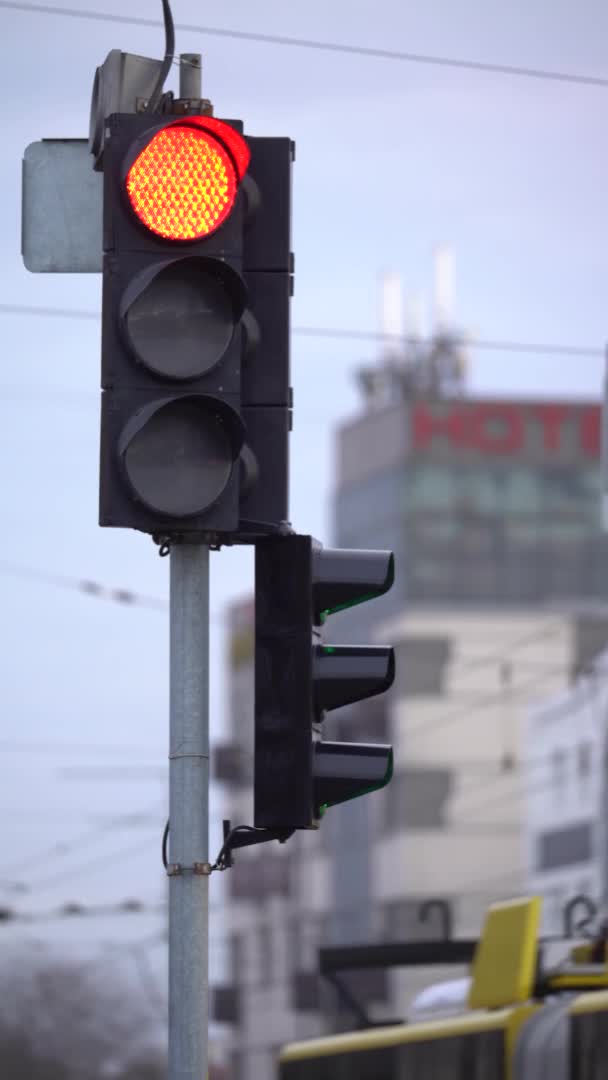 Verticale video van een verkeerslicht op de weg — Stockvideo
