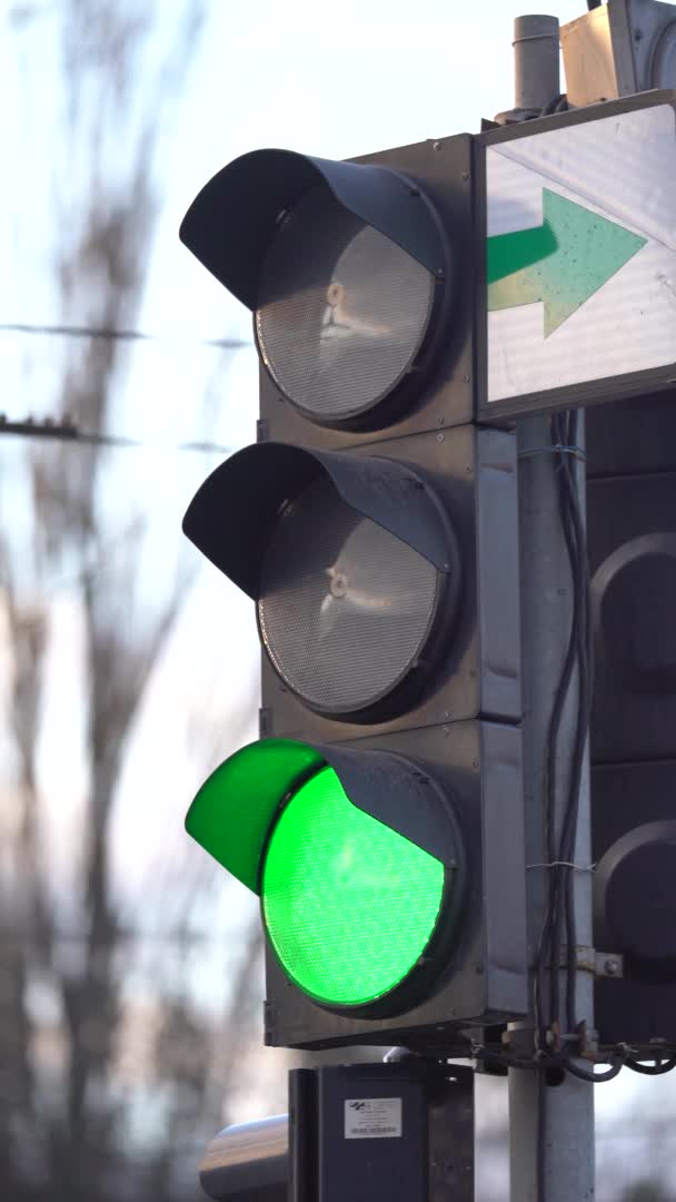 Vertikal video av ett trafikljus på vägen — Stockvideo