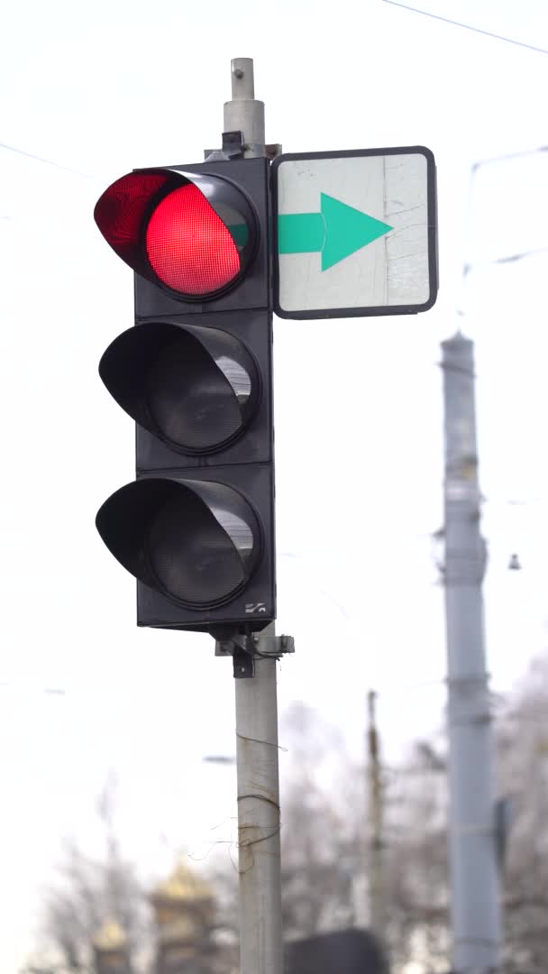 Vertikal video av ett trafikljus på vägen — Stockvideo