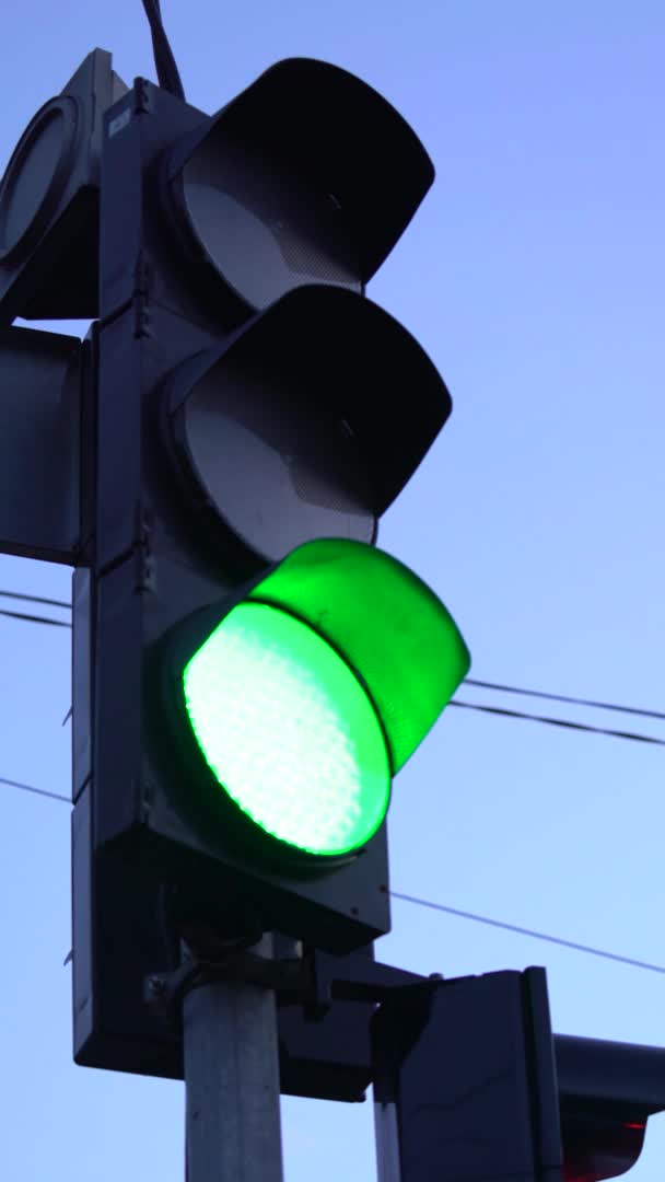 Vertikales Video einer Ampel auf der Straße — Stockvideo