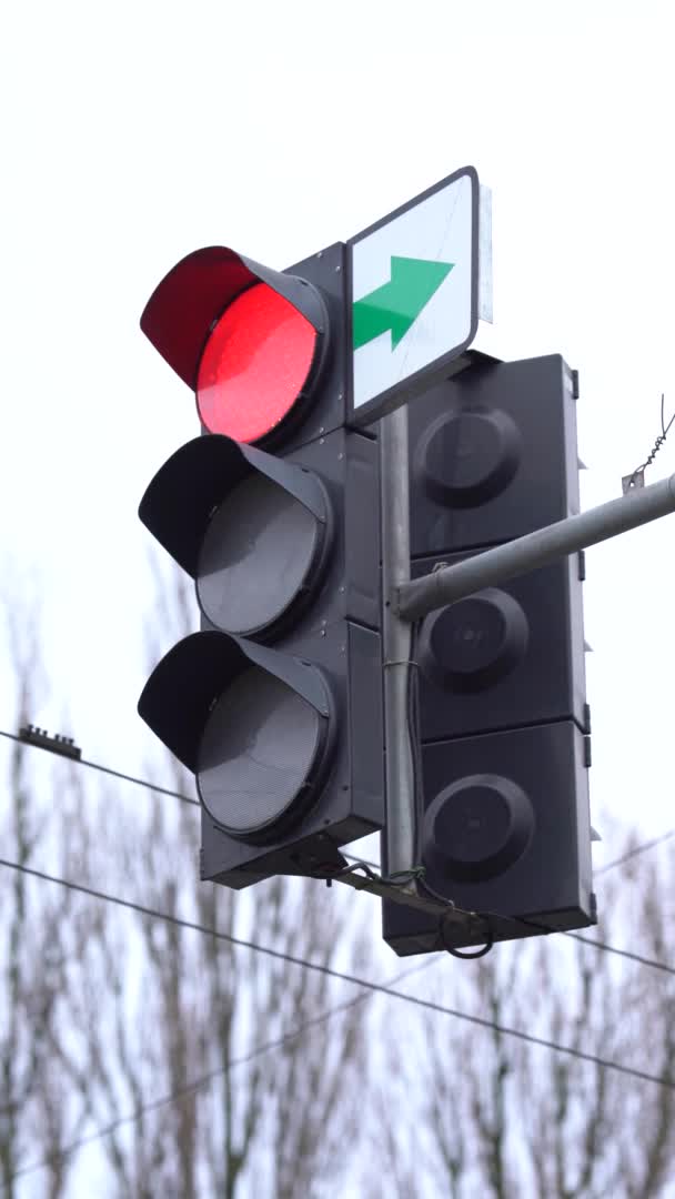 Verticale video van een verkeerslicht op de weg — Stockvideo