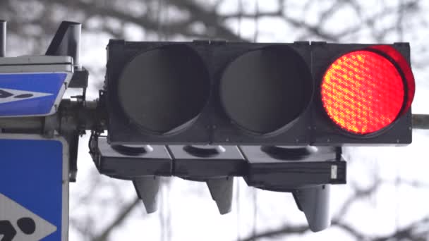 Vertikal video av ett trafikljus på vägen — Stockvideo