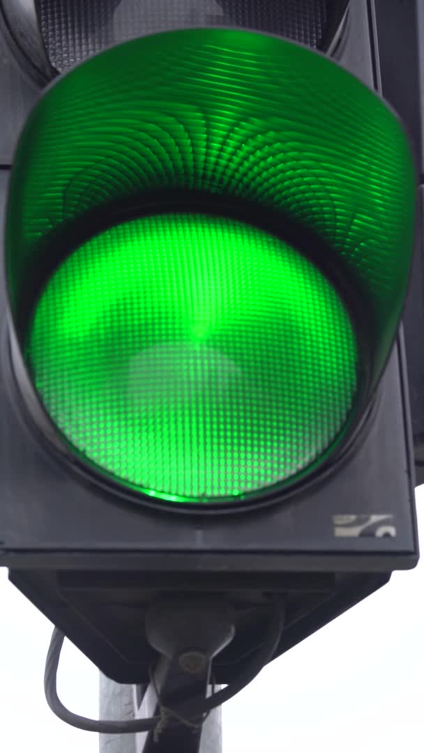Vertical video of a traffic light on the road — Stock Video