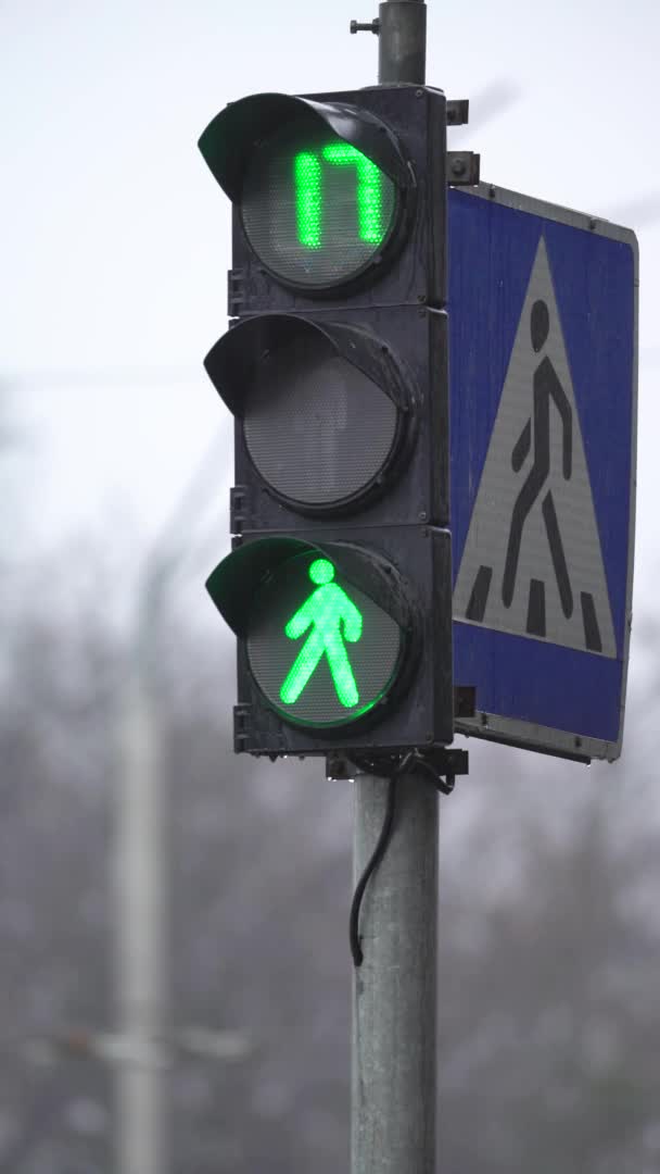 Vertical video of a pedestrian traffic light on the road — Stock Video